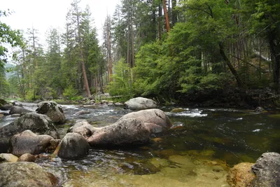 DSC_4629 (Large).JPG